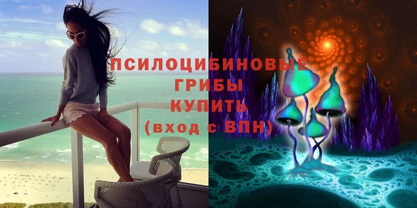 spice Баксан