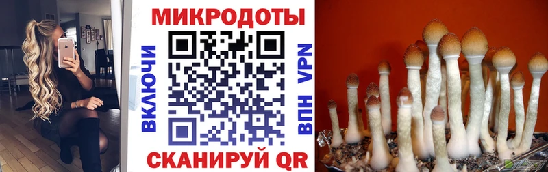Псилоцибиновые грибы Cubensis  что такое наркотик  Верхний Уфалей 
