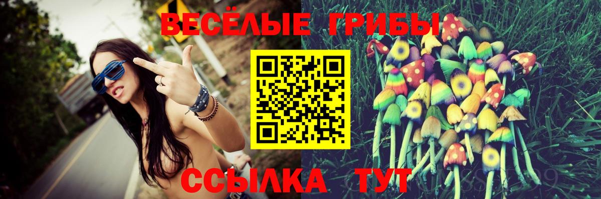 Верхний Уфалей  Галлюциногенные грибы ЛСД  Вход с VPN 
